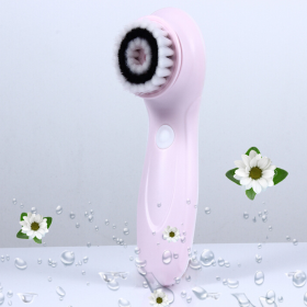 Rechargeable cleansing instrument